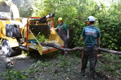 tree services Gulf Gate Estates